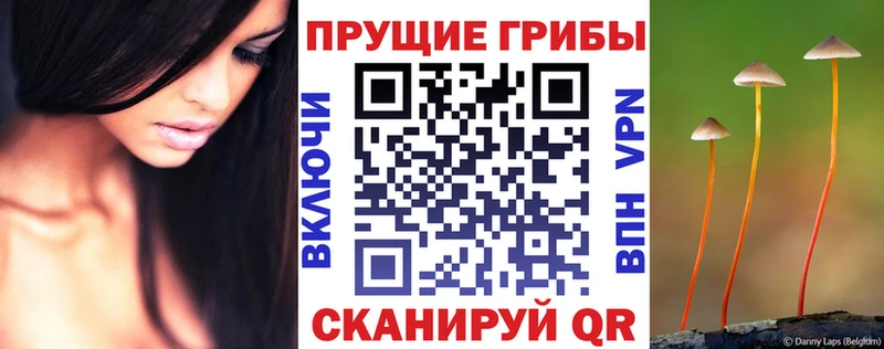 купить Гаврилов Посад Псилоцибиновые грибы мухоморы